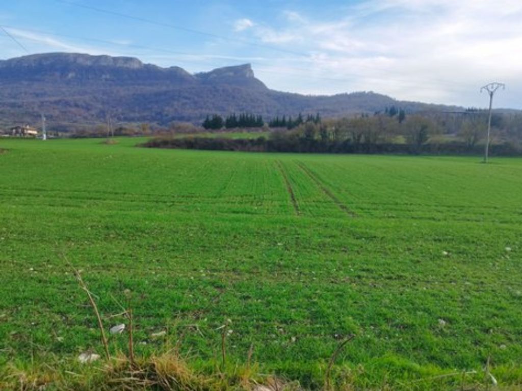 PLAN BEREZIA �ASPARRENA� EGUZKI FOTOBOLTAIKO INSTALAZIOA ASPARRENA (ARABA)
